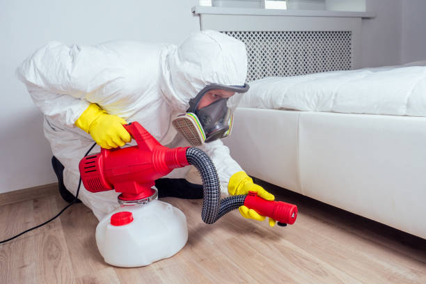 Professional Pest control in Westmont, NJ